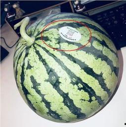 巧乐兹网红吃瓜怎么了,揭秘背后真相与争议