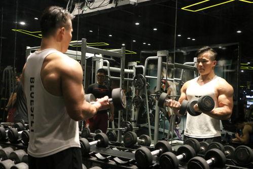 sunwall健身房吃瓜网,吃瓜网带你探秘健身界的网红之地