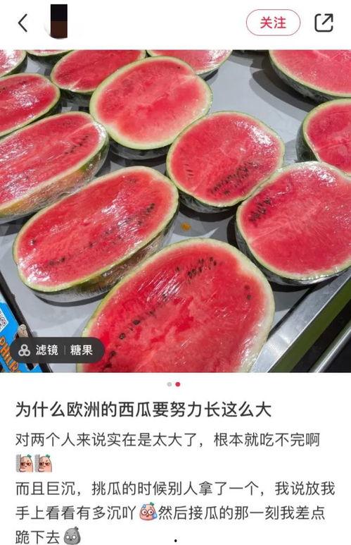 海外吃瓜网,揭秘娱乐圈幕后故事，带你领略全球热点事件