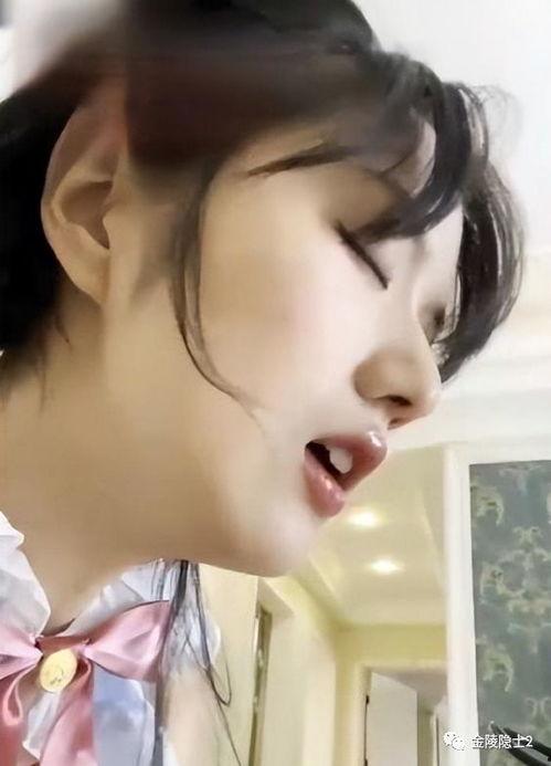 吃瓜网红道歉视频