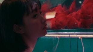 吃瓜少女网剧在线观看,网剧幕后风云大揭秘